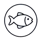 Balık
